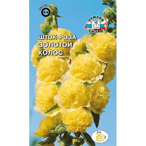 Шток-роза Золотой колос Седек изображение 1 артикул 94011
