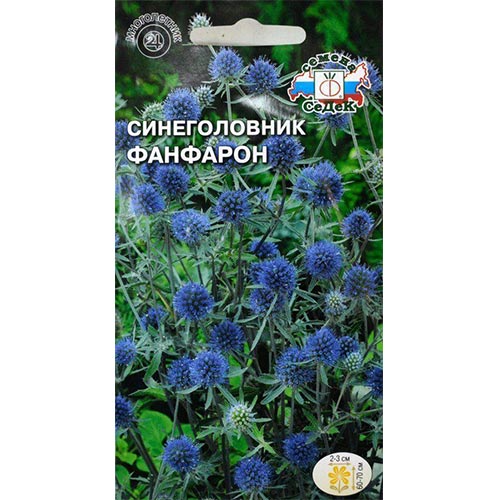 Синеголовник Фанфарон Седек изображение 1 артикул 93971