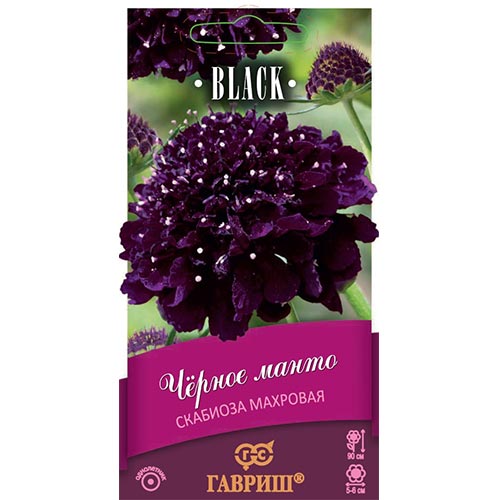 Скабиоза Черное манто Гавриш изображение 1 артикул 92223