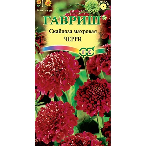 Скабиоза Черри Гавриш изображение 1 артикул 92224