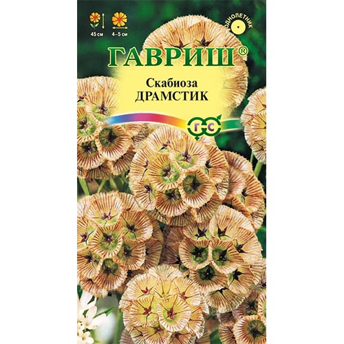 Скабиоза Драмстик Гавриш изображение 1 артикул 94868