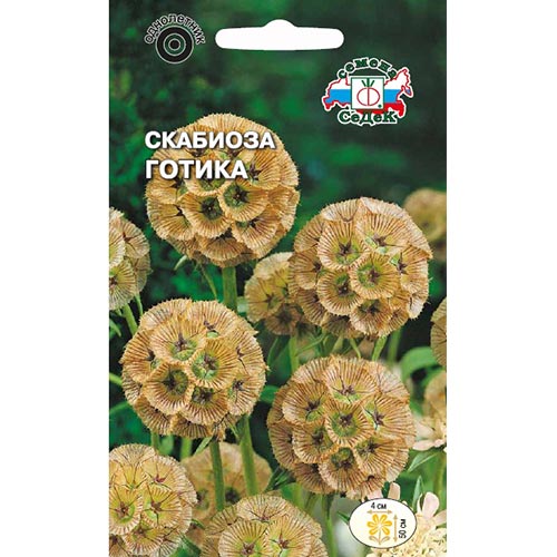 Скабиоза Готика Седек изображение 1 артикул 93973
