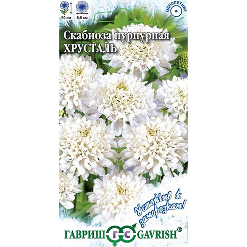 Скабиоза Хрусталь Гавриш изображение 1 артикул 92222