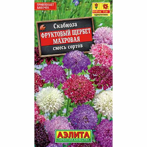 Скабиоза махровая Фруктовый щербет , смесь окрасок Аэлита изображение 1 артикул 99148