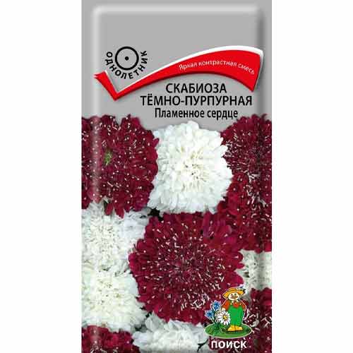 Скабиоза Пламенное сердце, сердце изображение 1 артикул 93114