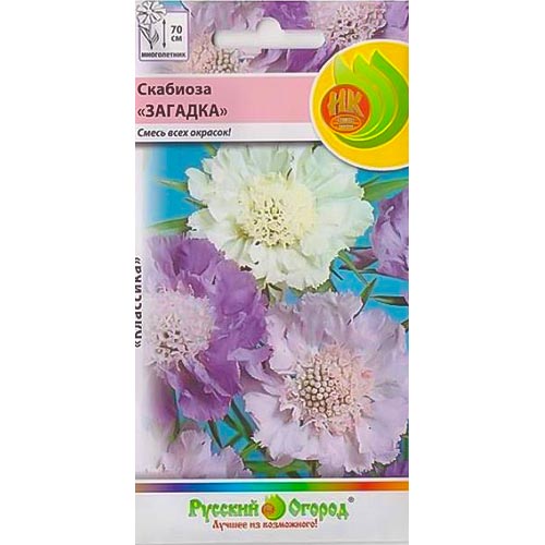 Скабиоза Загадка, смесь окрасок НК изображение 1 артикул 92630