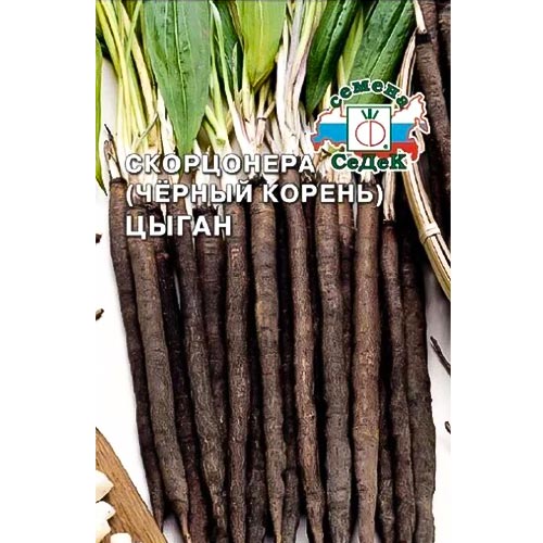 Скорцонера Цыган Седек изображение 1 артикул 93566