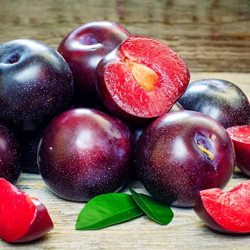 Слива Блэк Даймонд изображение 1 артикул 7017