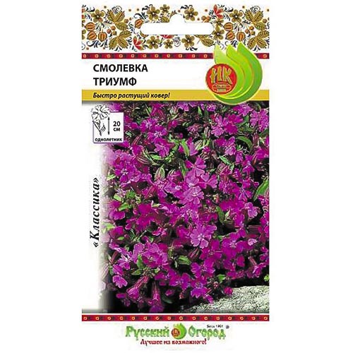 Смолевка (силена) Триумф НК изображение 1 артикул 92631