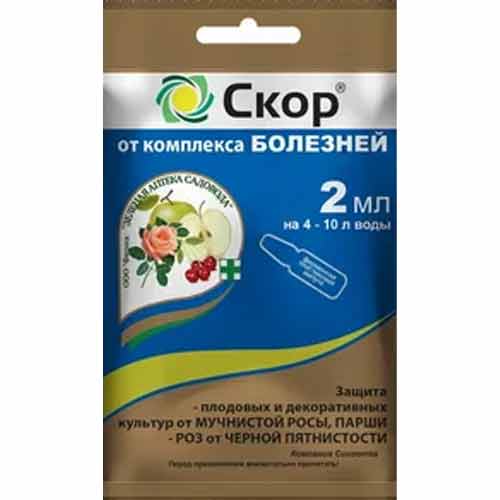 Средство для защиты от болезней Скор изображение 1 артикул 83312