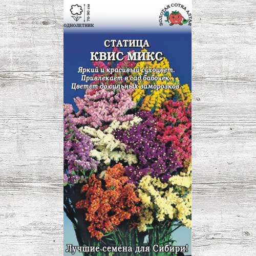 Статица Квис, смесь окрасок изображение 1 артикул 83676