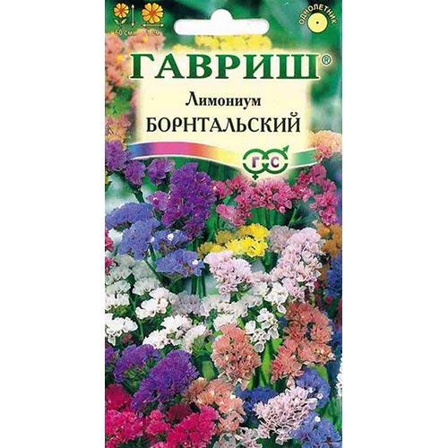 Статица (лимониум) Борнтальский, смесь окрасок Гавриш изображение 1 артикул 92225