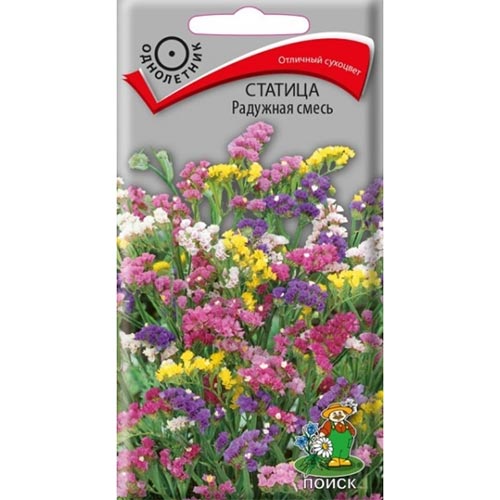 Статица Радужная, смесь окрасок изображение 1 артикул 93116