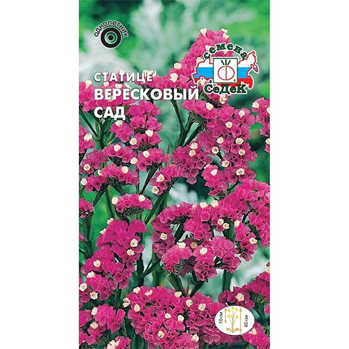 Статица Вересковый сад Седек изображение 1 артикул 93976