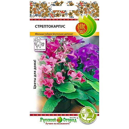 Стрептокарпус, смесь окрасок НК изображение 1 артикул 92633