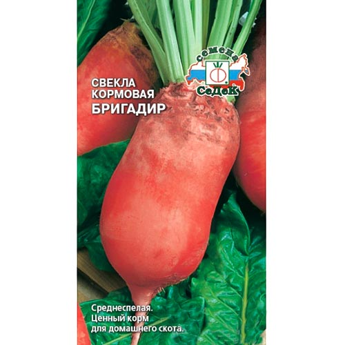 Свекла кормовая Бригадир Седек изображение 1 артикул 93553