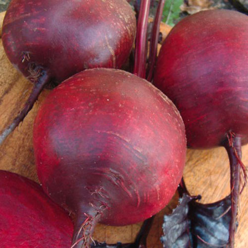 Свекла Марго F1 изображение 1 артикул 69814