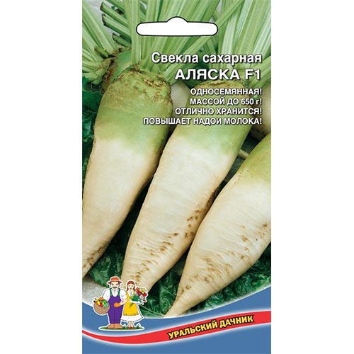 Свекла столовая Аляска Уральский дачник изображение 1 артикул 94690