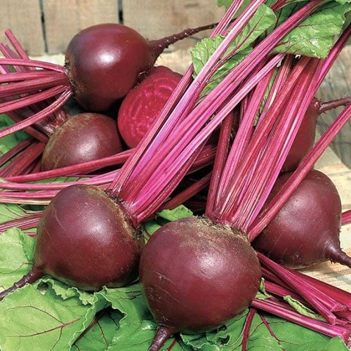 Свекла столовая Фалькон F1 Premium Seeds изображение 1 артикул 83825