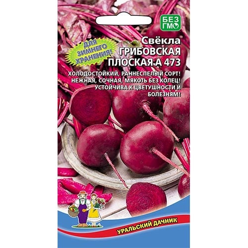 Свекла столовая Грибовская плоская А 473 Уральский дачник изображение 1 артикул 94692