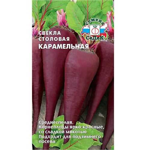 Свекла столовая Карамельная Седек изображение 1 артикул 93556