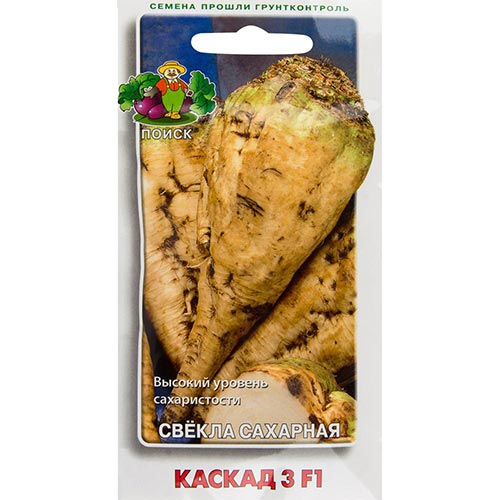 Свекла столовая Каскад 3 F1 Поиск изображение 1 артикул 92812