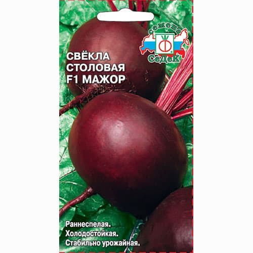 Свекла столовая Мажор F1 Седек изображение 1 артикул 93558