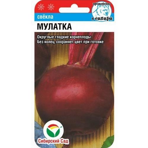 Свекла столовая Мулатка Сибирский сад изображение 1 артикул 82829