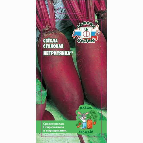 Свекла столовая Негритянка Седек изображение 1 артикул 93559