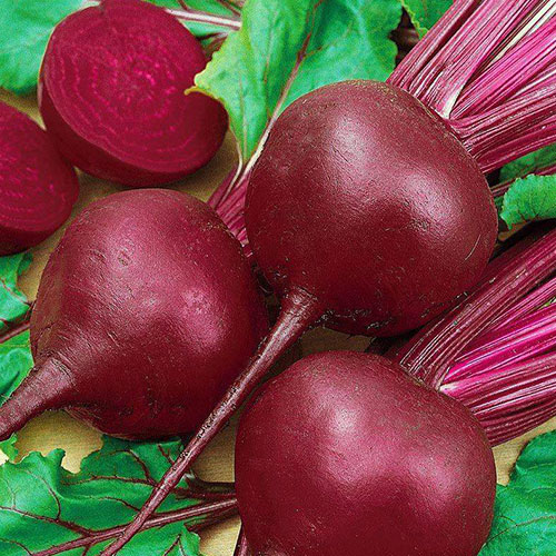 Свекла столовая Пиковая дама F1 Premium Seeds изображение 1 артикул 83823