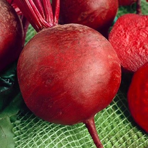 Свекла столовая Рафинадная F1 Уральский дачник изображение 1 артикул 83032