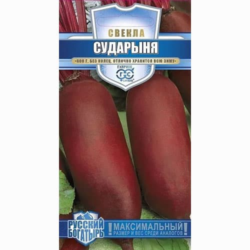 Свекла столовая Сударыня Гавриш артикул фото 1 Свекла столовая Сударыня Гавриш изображение 1 артикул 65218
