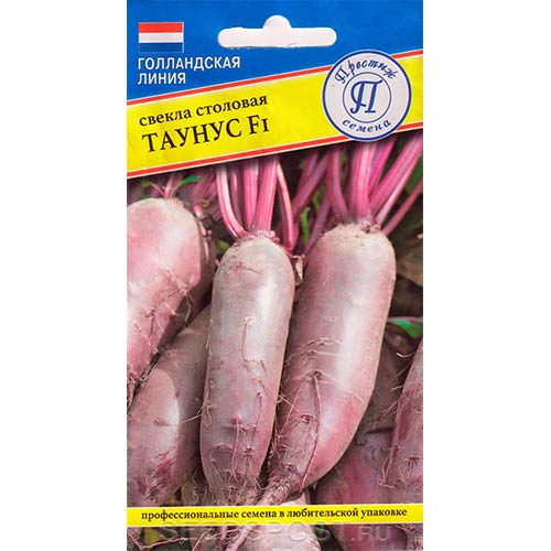 Свекла столовая Таунус F1 Престиж изображение 1 артикул 73610