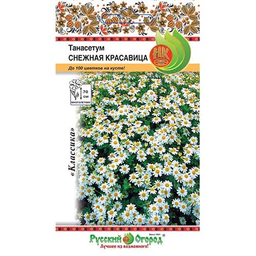 Танасетум Снежная Красавица НК изображение 1 артикул 92634