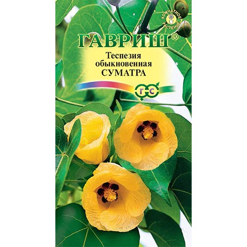 Теспезия Суматра Гавриш артикул фото 1 Теспезия Суматра Гавриш изображение 1 артикул 92228