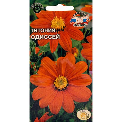 Титония Одиссей Седек изображение 1 артикул 93982