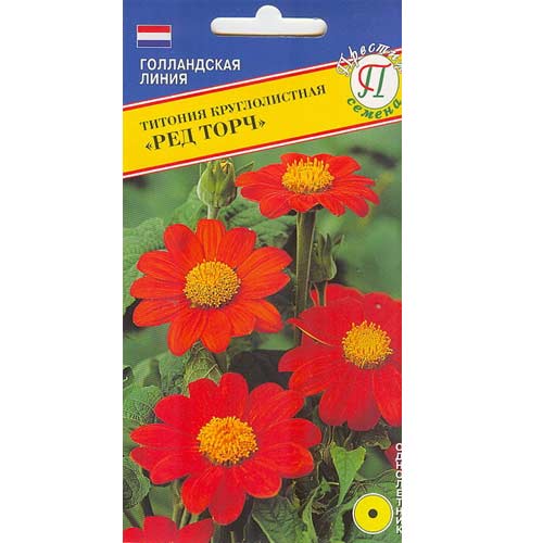 Титония Ред Торч Престиж изображение 1 артикул 71589