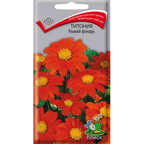 Титония Рыжий фонарь Поиск изображение 1 артикул 93128