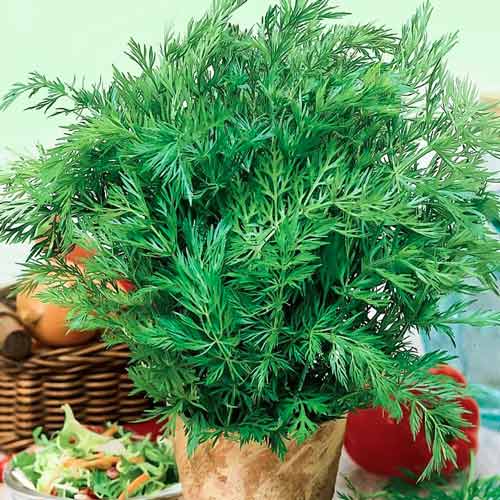 Тмин овощной Аппетитный изображение 1 артикул 74273