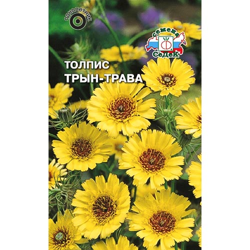 Толпис Трын-трава Седек изображение 1 артикул 93983