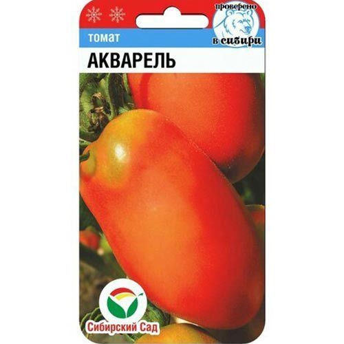 Томат Акварель Сибирский сад артикул фото 1 Томат Акварель Сибирский сад изображение 1 артикул 82834