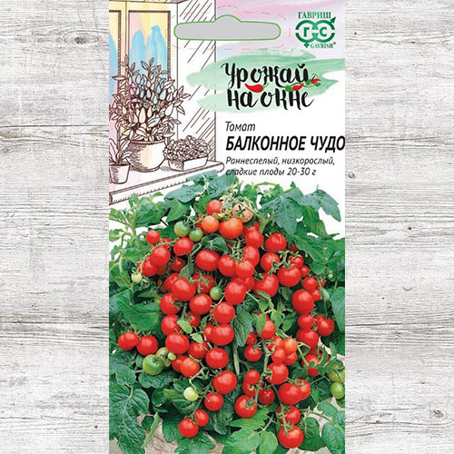 Томат Балконное чудо Гавриш артикул фото 1 Томат Балконное чудо Гавриш изображение 1 артикул 81575