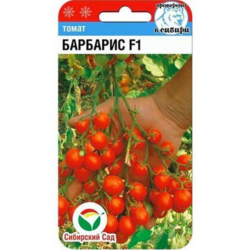 Томат Барбарис F1 Сибирский сад изображение 1 артикул 94397