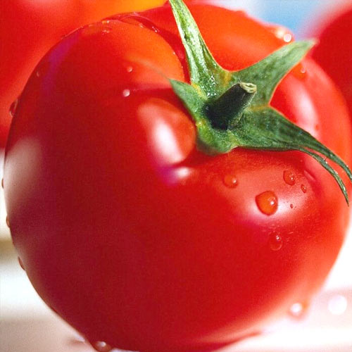 Томат Бэлла Роса F1, семена изображение 1 артикул 65054