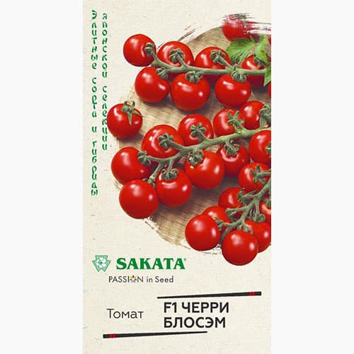 Томат Чери Блосэм F1 Гавриш артикул фото 1 Томат Чери Блосэм F1 Гавриш изображение 1 артикул 97544