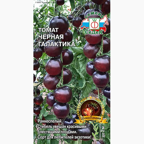 Томат Черная Галактика Седек изображение 1 артикул 98148