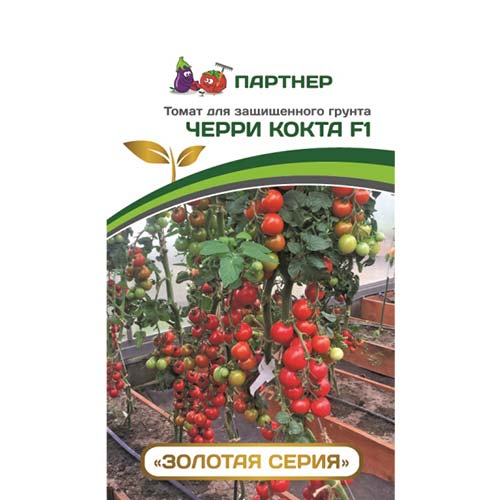 Томат черри Кокта F1 Партнер изображение 1 артикул 73524