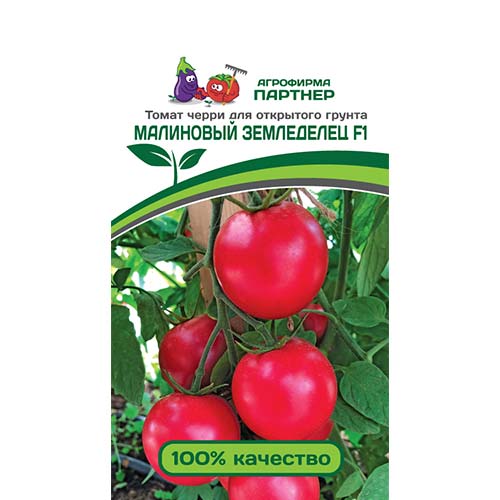 Томат черри Малиновый земледелец F1 Партнер артикул фото 1 Томат черри Малиновый земледелец F1 Партнер изображение 1 артикул 73485