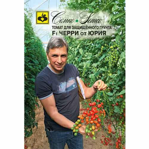 Томат черри от Юрия F1 Семко изображение 1 артикул 82560