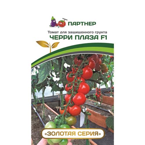 Томат черри Плаза F1 Партнер изображение 1 артикул 73522